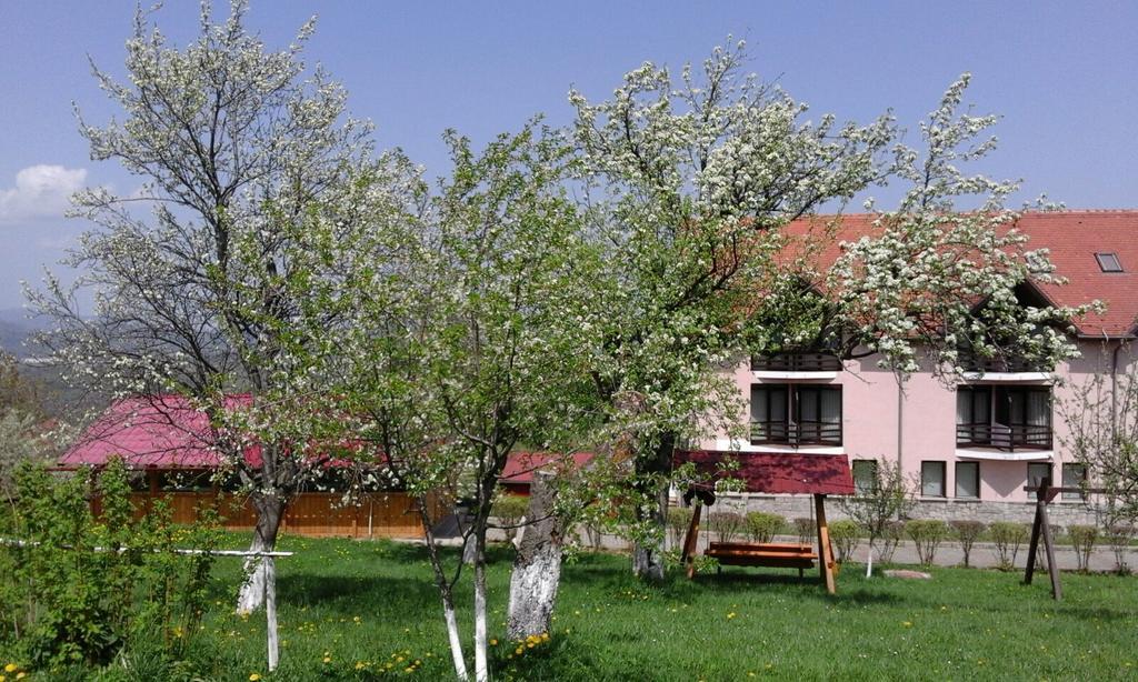 Hotel Sofia Bran (Brasov) Exterior foto