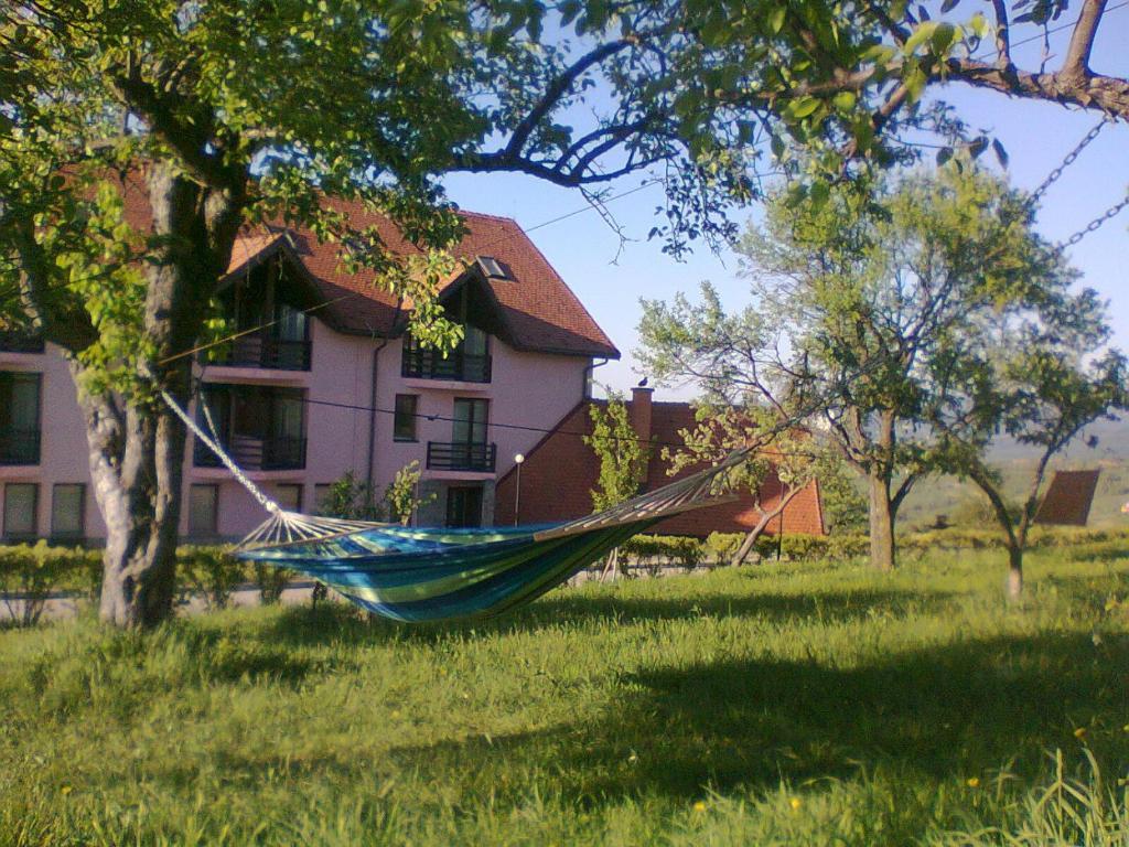 Hotel Sofia Bran (Brasov) Exterior foto