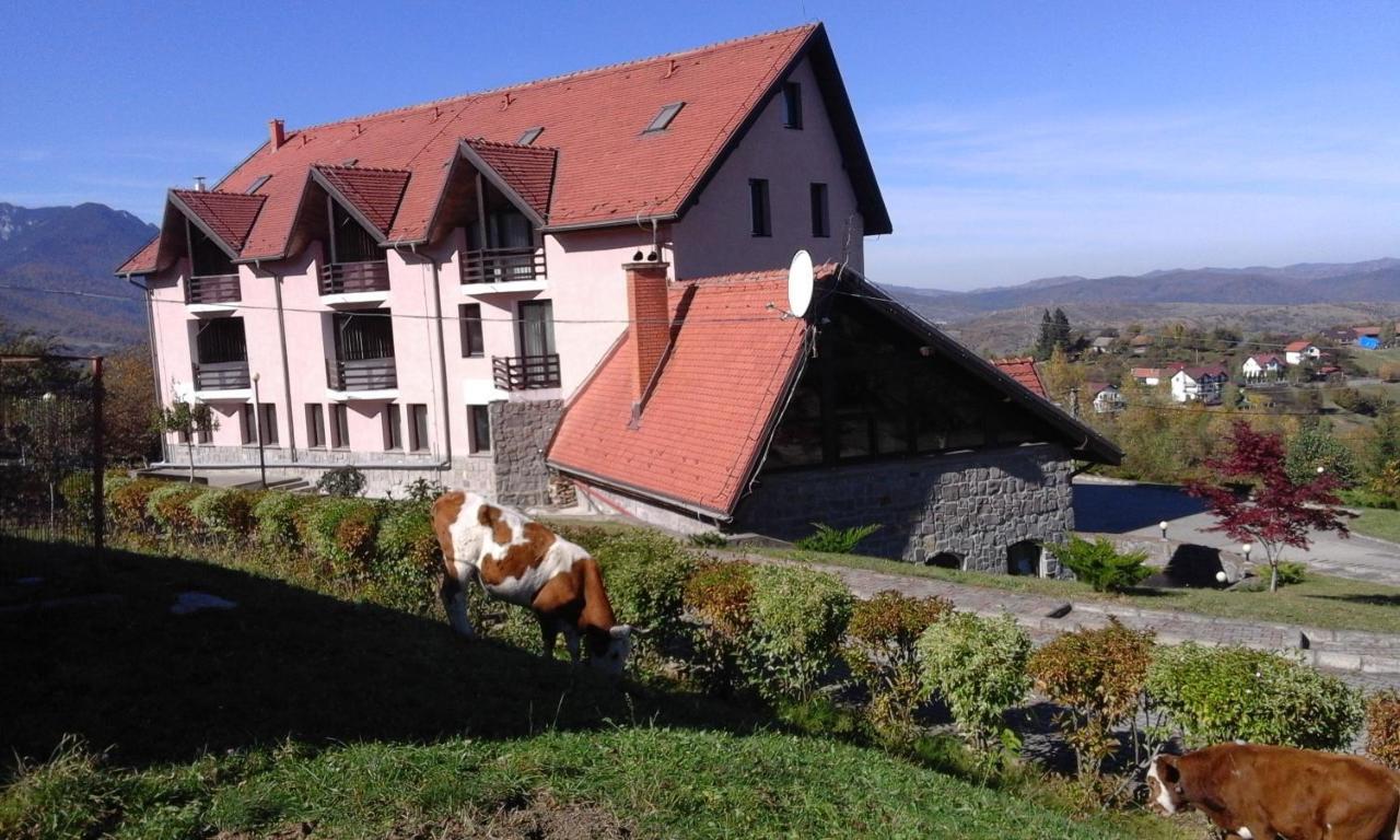 Hotel Sofia Bran (Brasov) Exterior foto